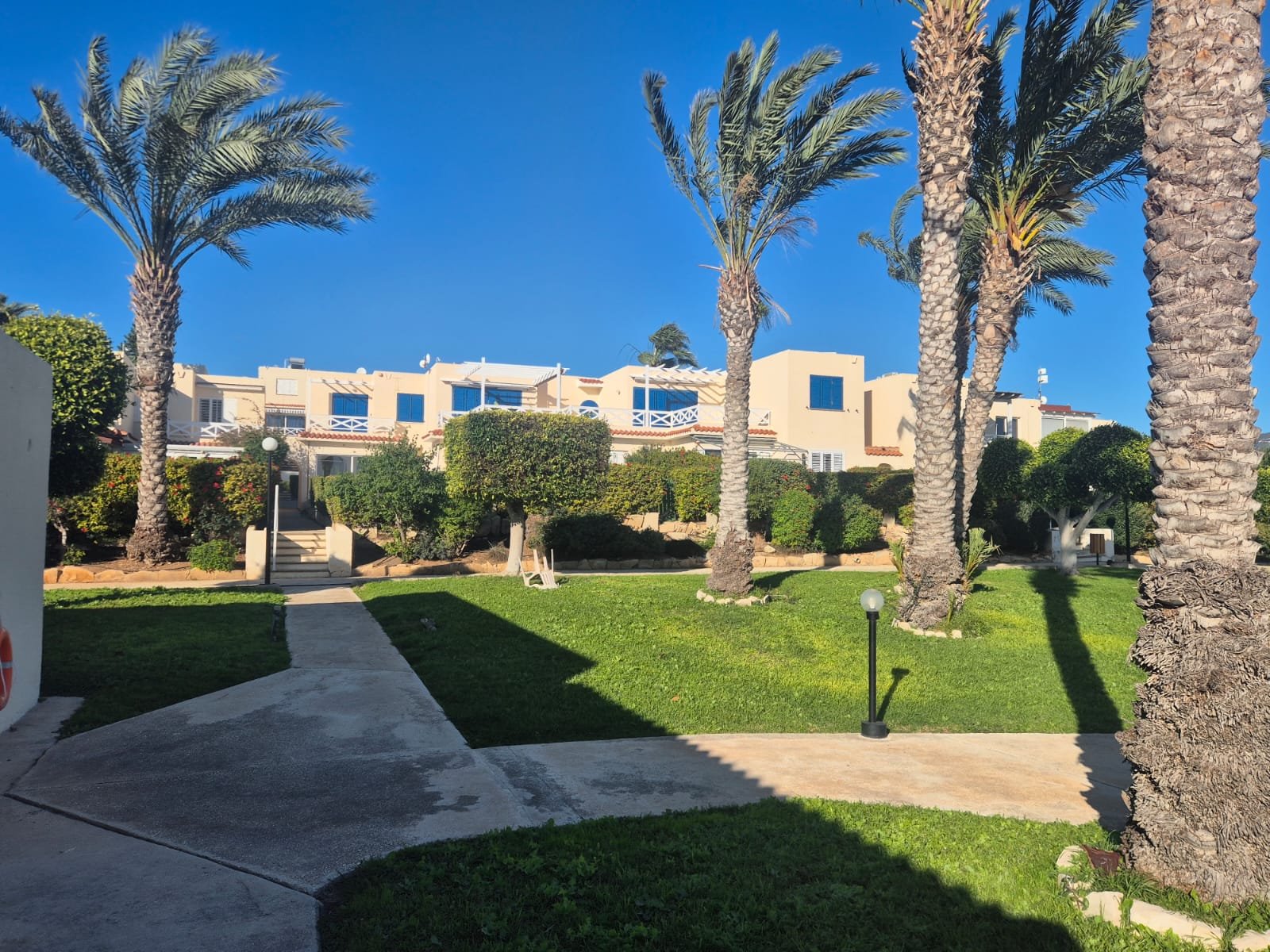 WhatsApp Image 2026-02-26 at 3.54.12 PM (1)