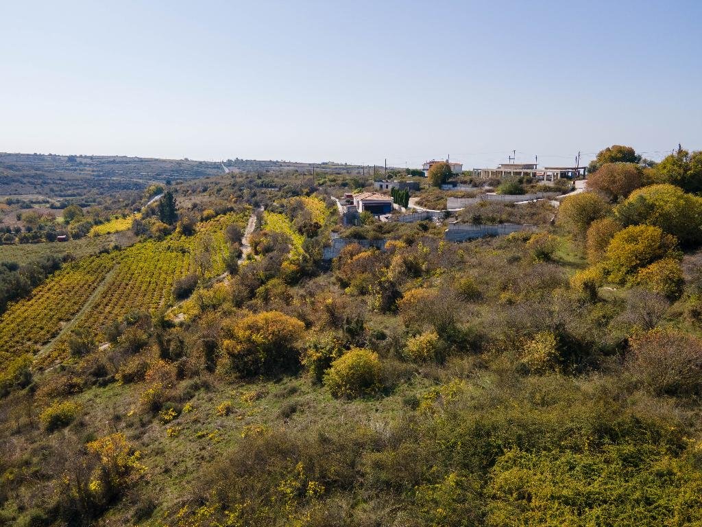 Residential Field in Kathikas