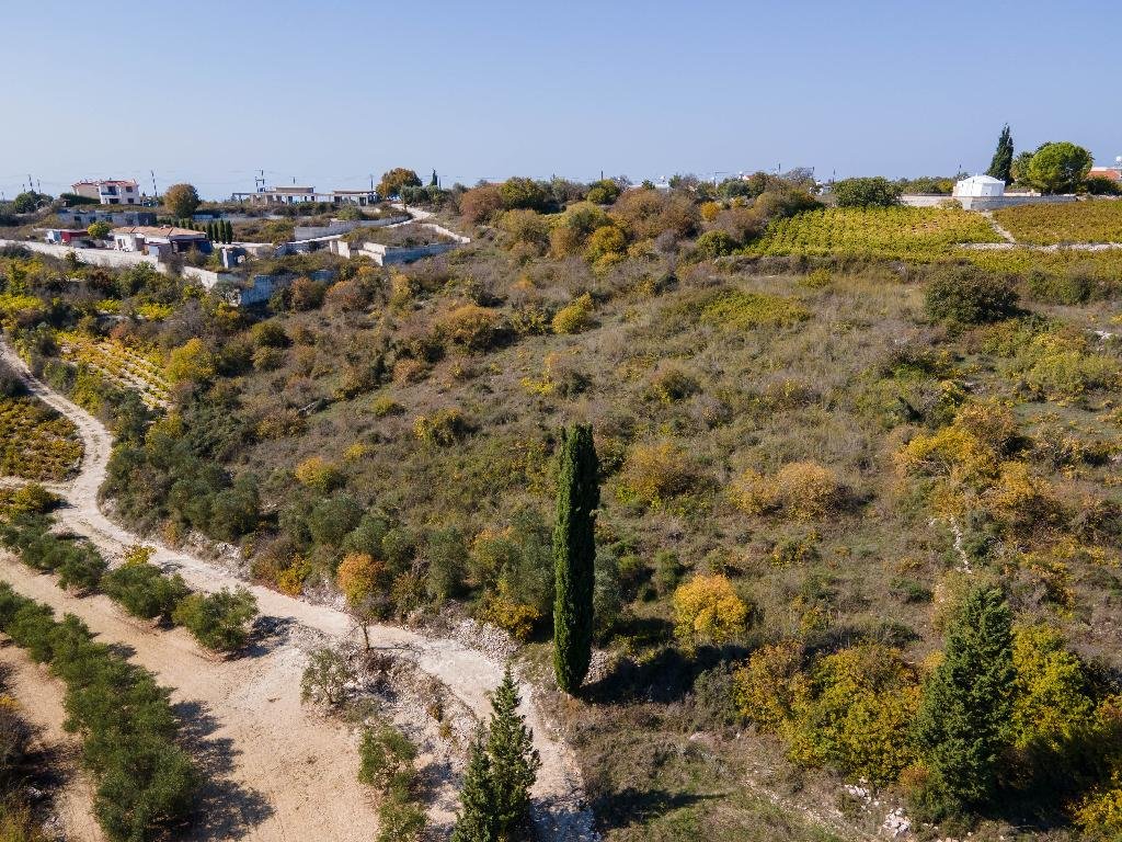 Residential Field in Kathikas