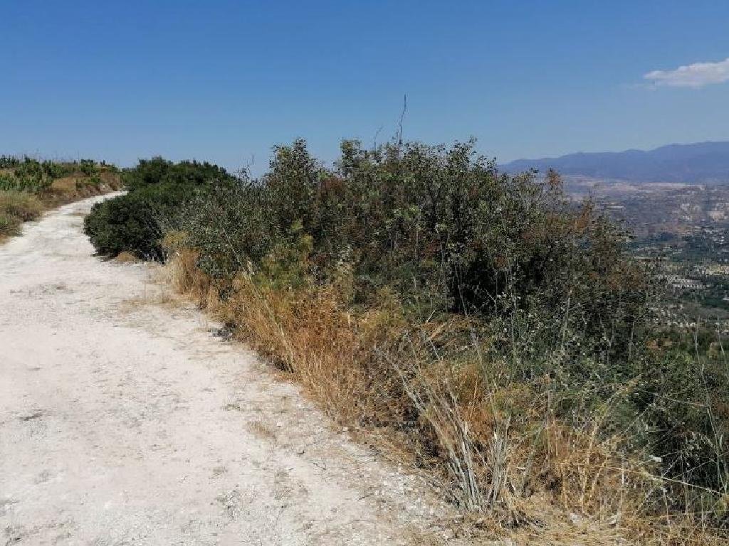 Residential Field in Theletra