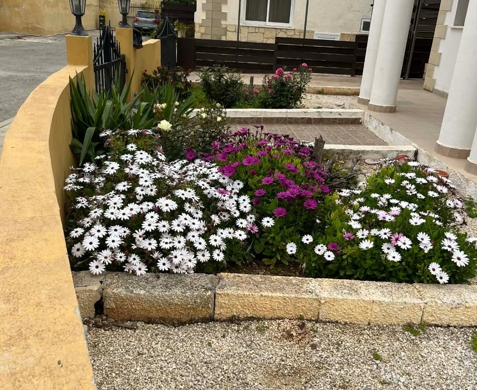 Three Bedroom Detached Villa for Rent – Paphos