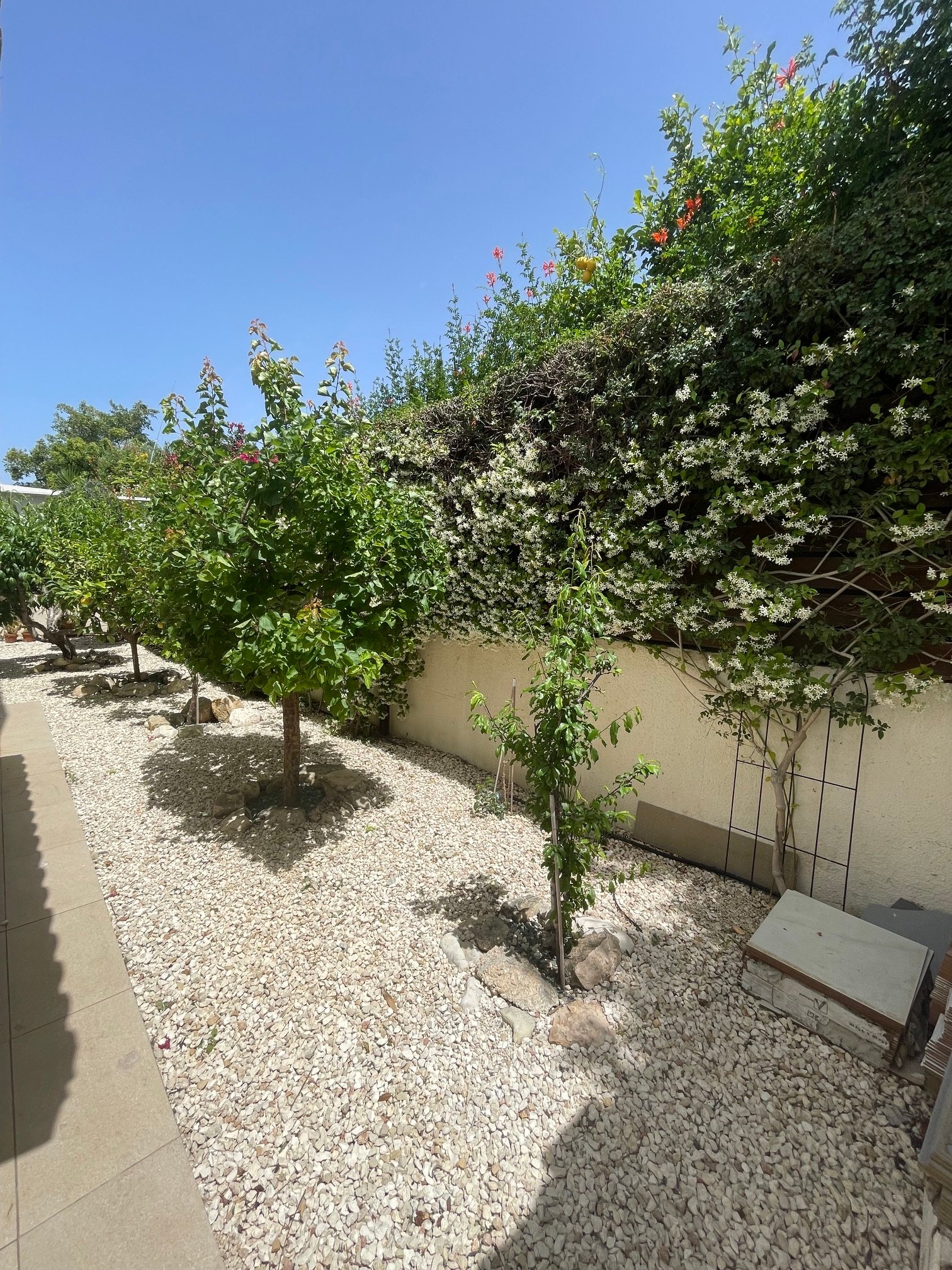 Luxury Four Bedroom Modern Villa in Pegeia