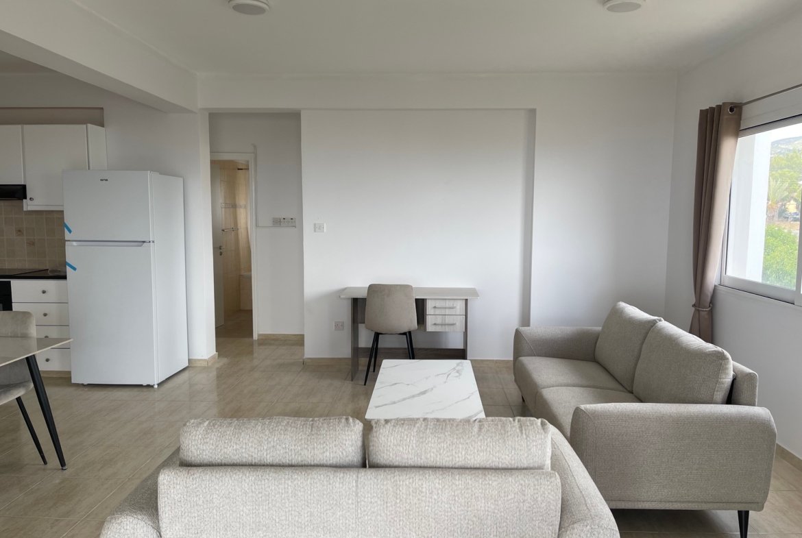 Newly Renovated Two Bedroom Apartment – Mesogi