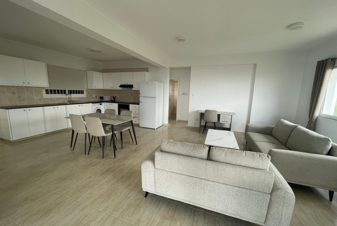 Newly Renovated Two Bedroom Apartment – Mesogi