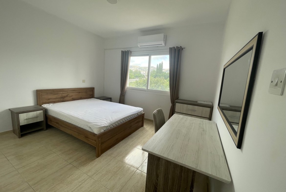 Newly Renovated Two Bedroom Apartment – Mesogi