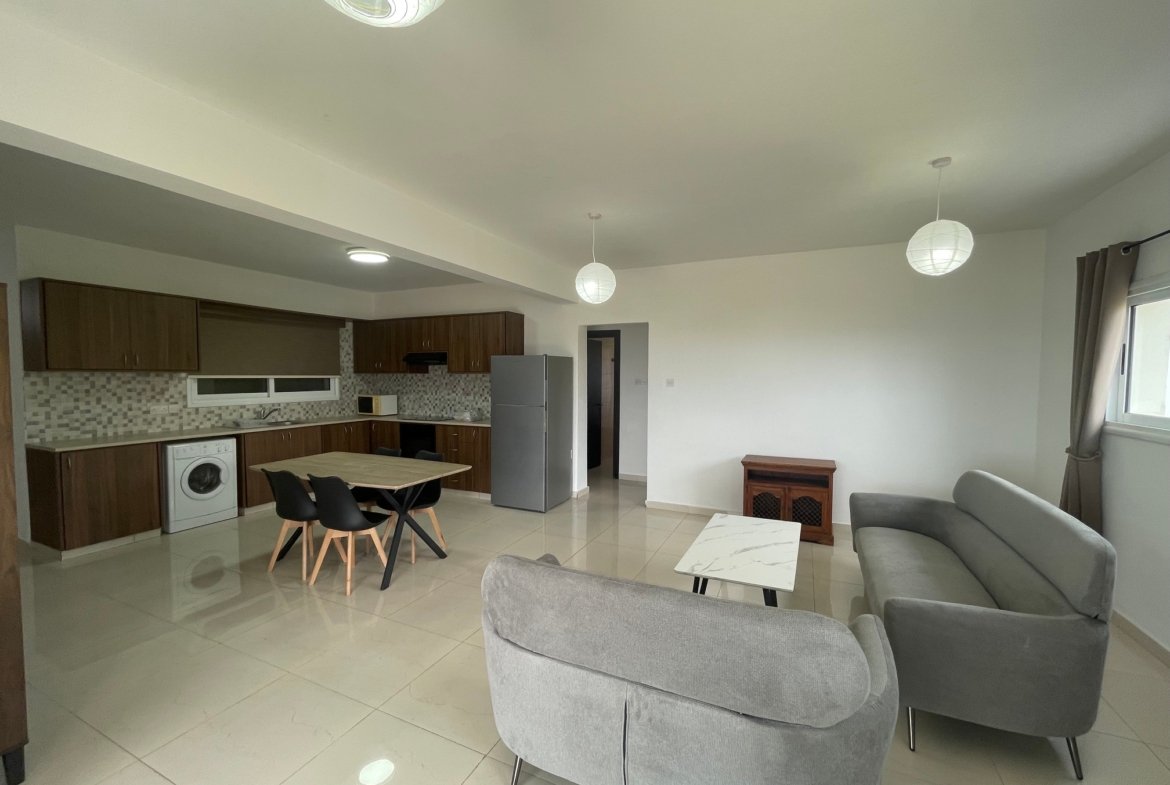 Newly Renovated Two Bedroom Apartment – Mesogi