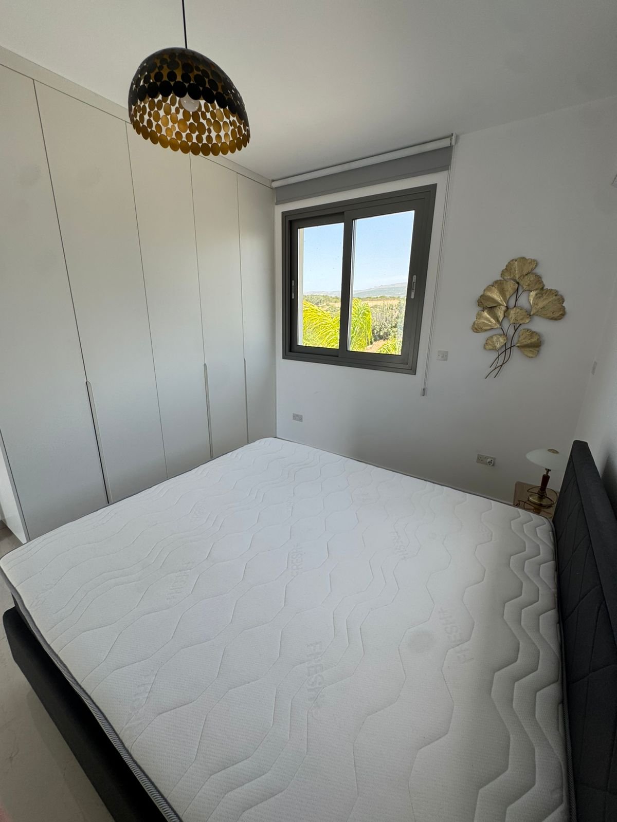 NEW Luxury Villa For Rent | St. George – Pegeia