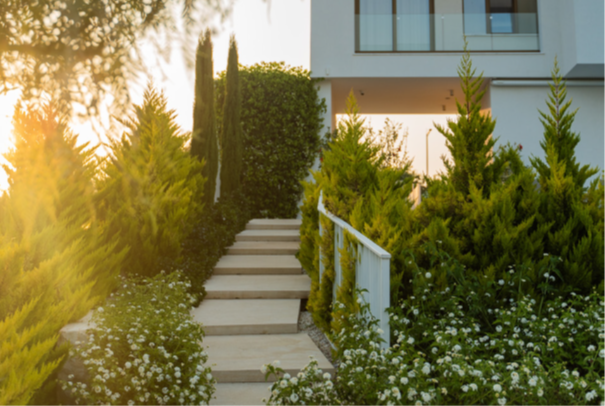 Premium Luxury Seaside Villas in Pegeia – Coral Bay