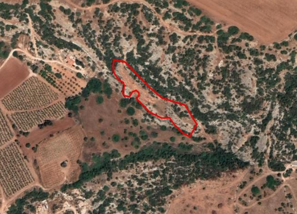 Vacant Agricultural Land for Sale – Pegeia