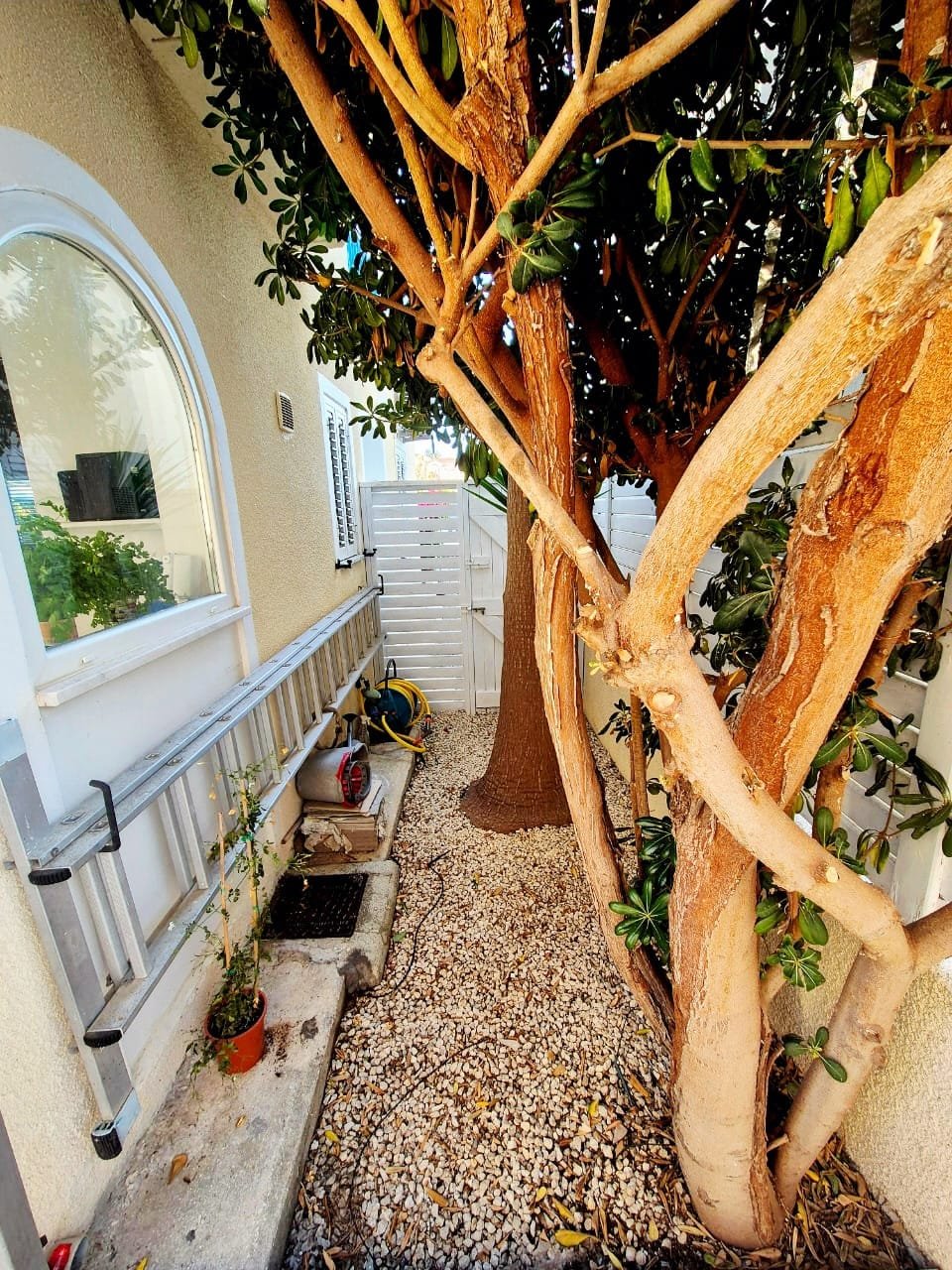 Three‑Bedroom Detached Villa in Paphos – Universal