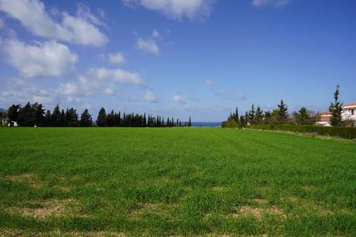 Touristic Fields in Polis Chrysochous