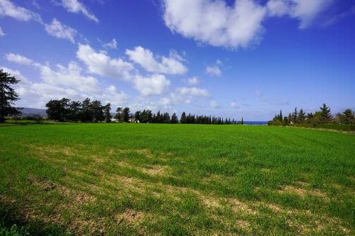 Touristic Fields in Polis Chrysochous