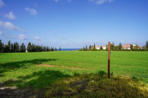 Touristic Fields in Polis Chrysochous