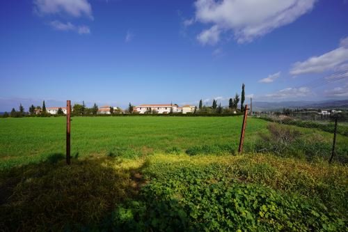 Touristic Fields in Polis Chrysochous