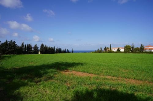 Touristic Fields in Polis Chrysochous