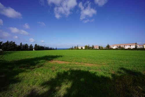 Touristic Fields in Polis Chrysochous