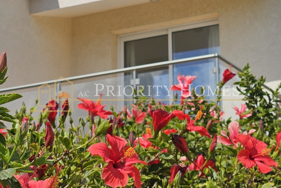 Three-Bedroom Mediterranean Villas in Pegeia – St George