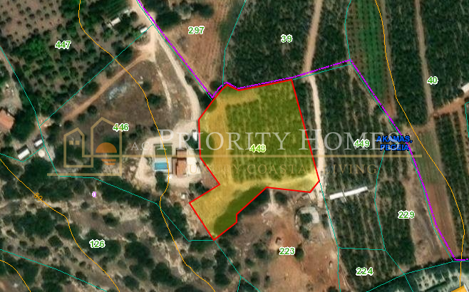 Agricultural Land in Pegeia – St George