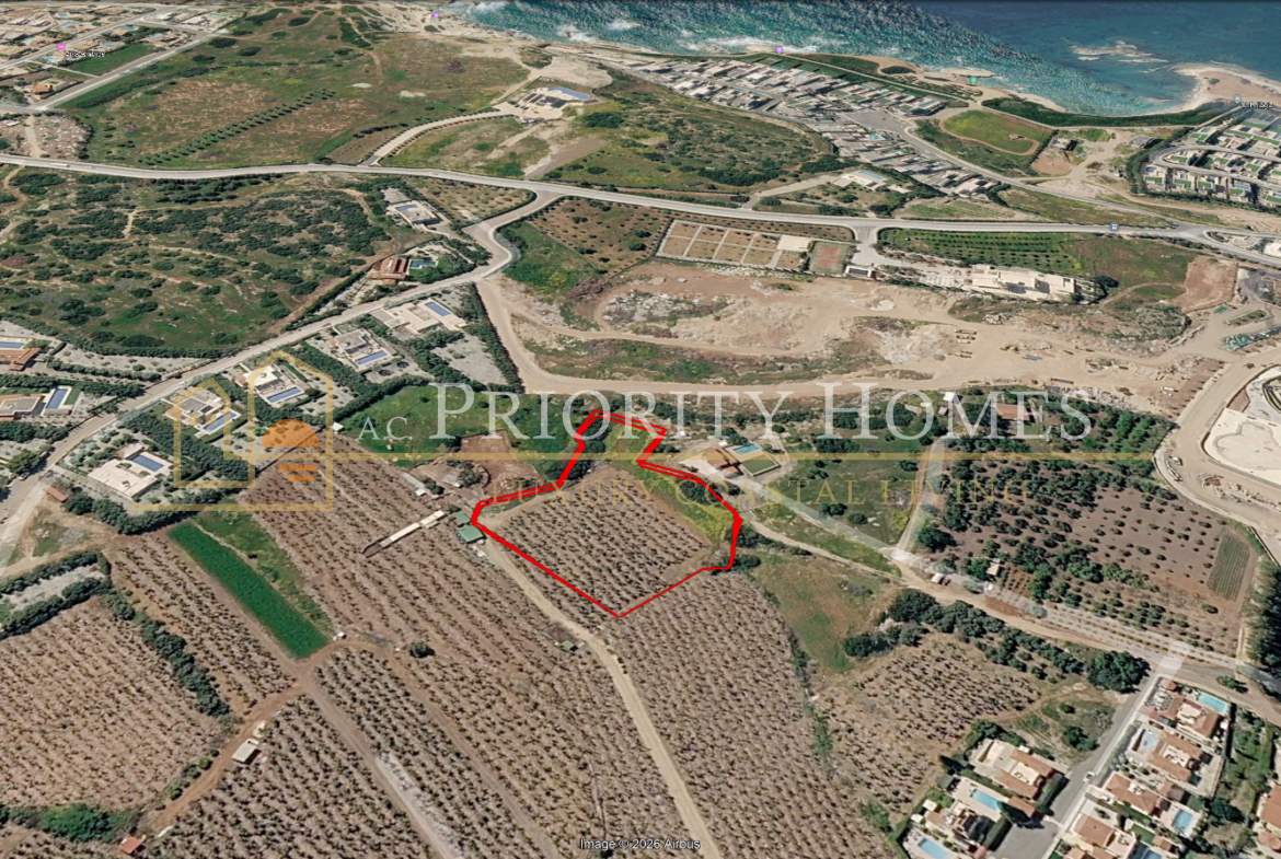 Agricultural Land in Pegeia – St George