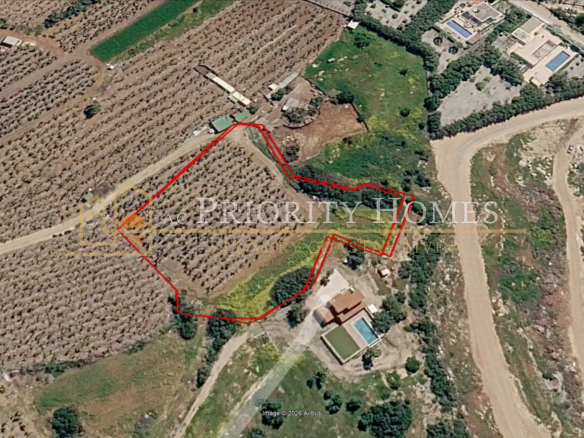 Agricultural Land in Pegeia – St George