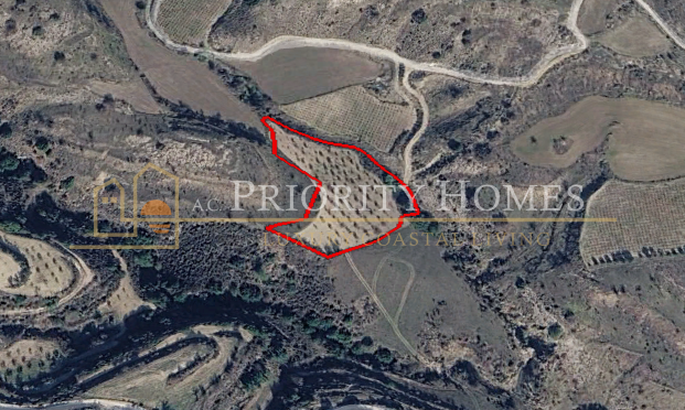 Agricultural Land For Sale in Polemi