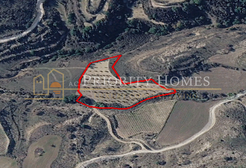 Agricultural Land For Sale in Polemi