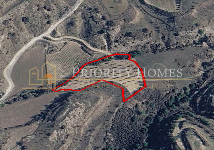 Agricultural Land For Sale in Polemi