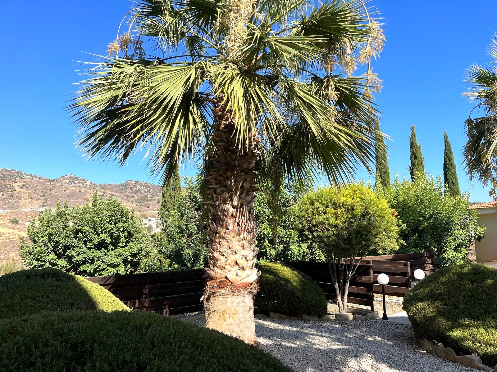 For Rent Two-Bedroom Corner Apartment in Pegeia