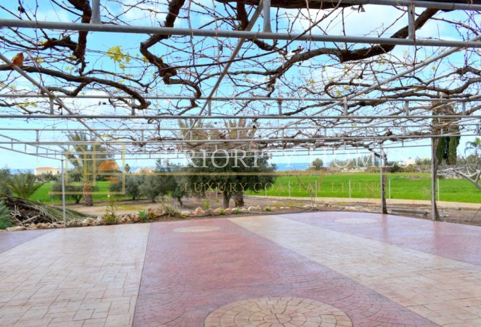 Three‑Bedroom Villa in Pegeia – Sea Caves