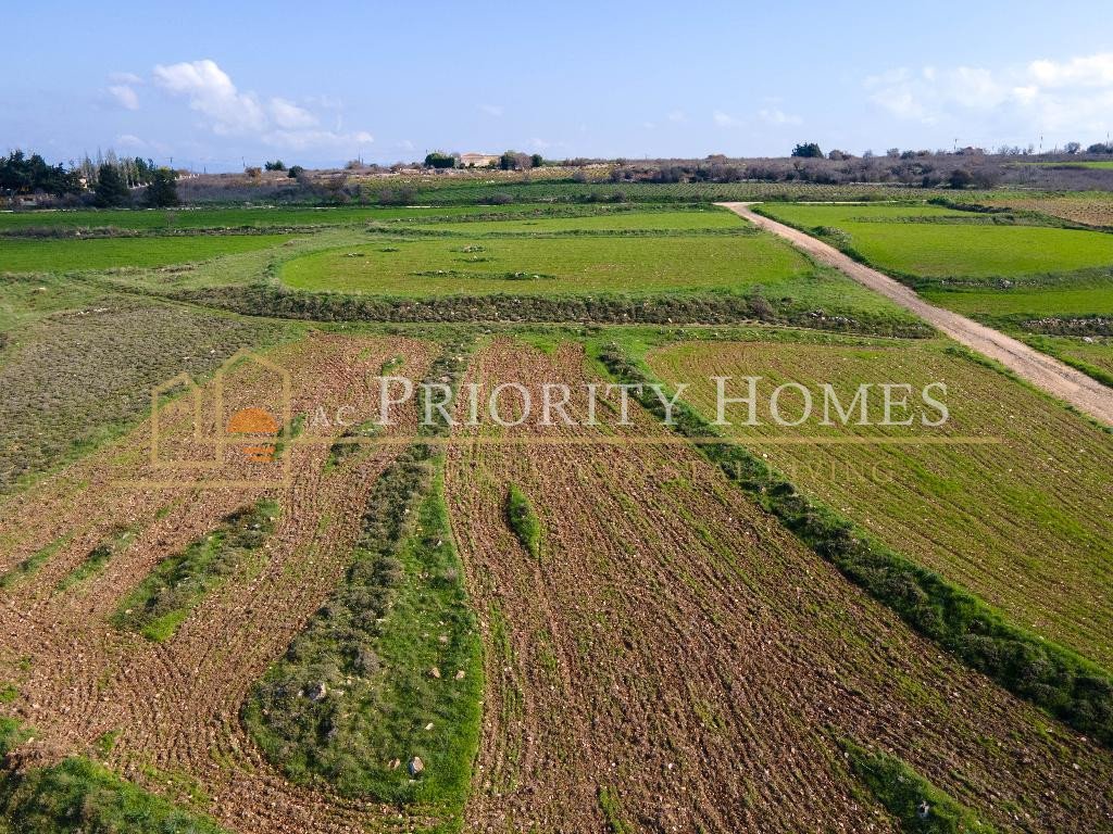 Touristic Field in Pano Arodes